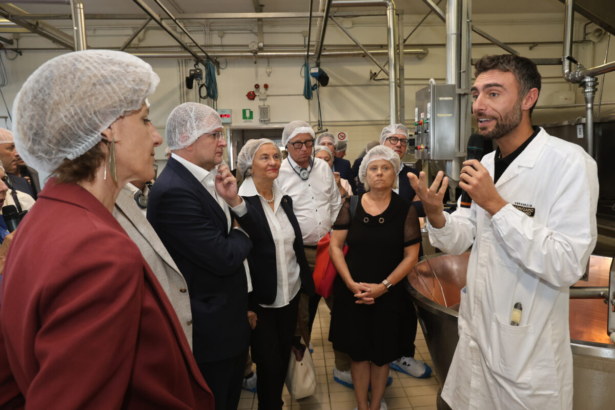 Addetto del Consorzio del Parmigiano Reggiano DOP insieme a una delegazione di 40 europarlamentari intenti a scoprire il processo di produzione del Parmigiano Reggiano nel Caseificio Agricolo del Milanello